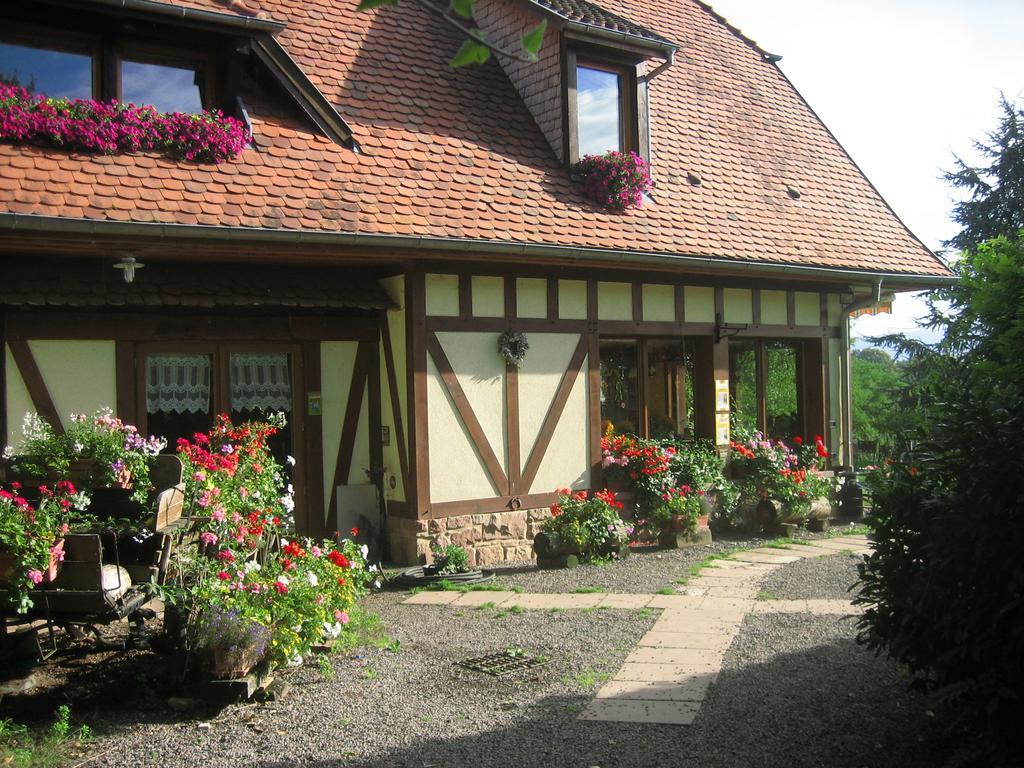 Le Neufeld Bed & Breakfast Oberhaslach Eksteriør bilde