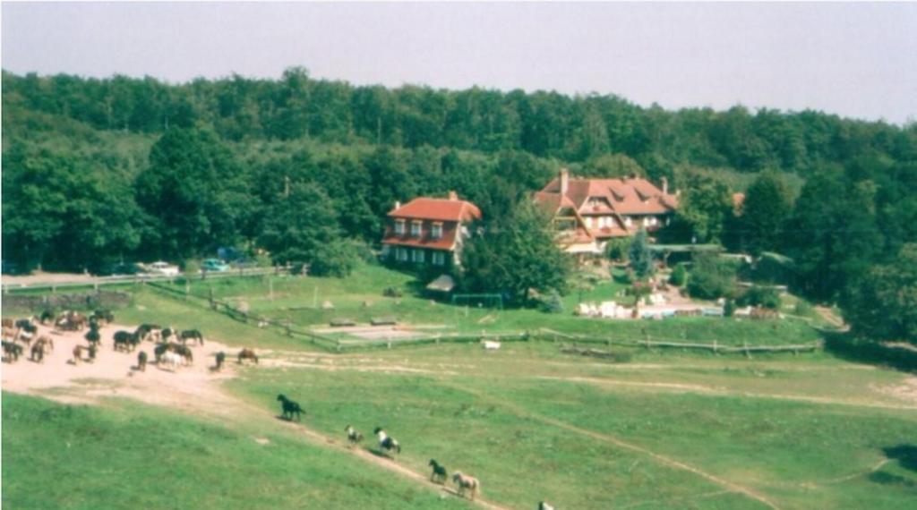 Le Neufeld Bed & Breakfast Oberhaslach Eksteriør bilde