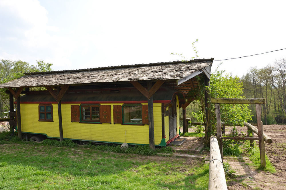 Le Neufeld Bed & Breakfast Oberhaslach Eksteriør bilde